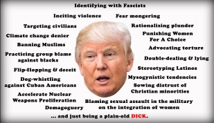 QualitiesOfThe_Donald