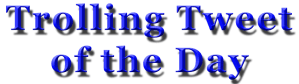TrollingTweetoftheDay