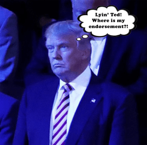 CruzWhereEndorsement