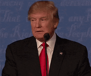 PissedOffPutinPuppetTrump