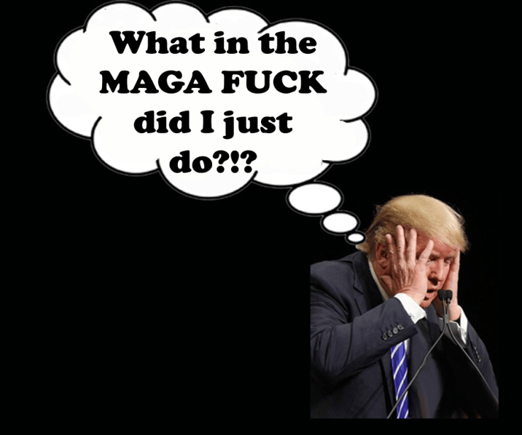 wtf_maga