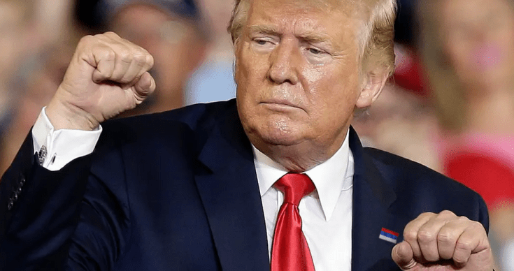 trump fist russian pin