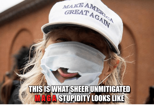 STUPID MAGA FACEMASK STUPIDITY