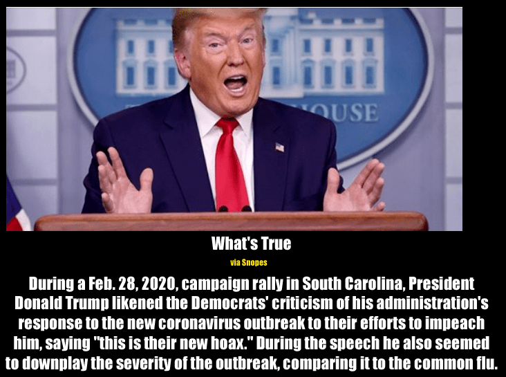 trump corona hoax